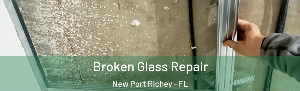  Broken Glass Repair New Port Richey - FL