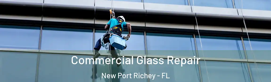  Commercial Glass Repair New Port Richey - FL