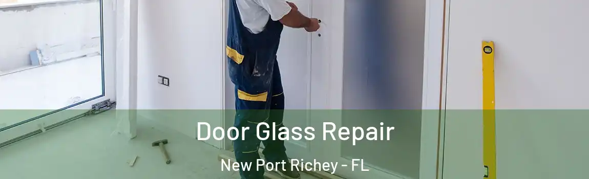  Door Glass Repair New Port Richey - FL