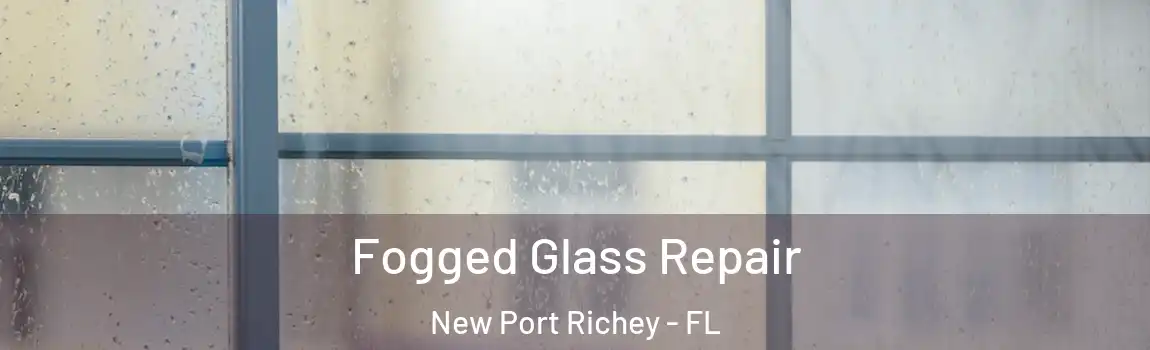 Fogged Glass Repair New Port Richey - FL