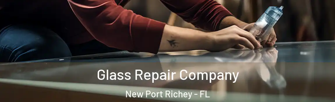  Glass Repair Company New Port Richey - FL