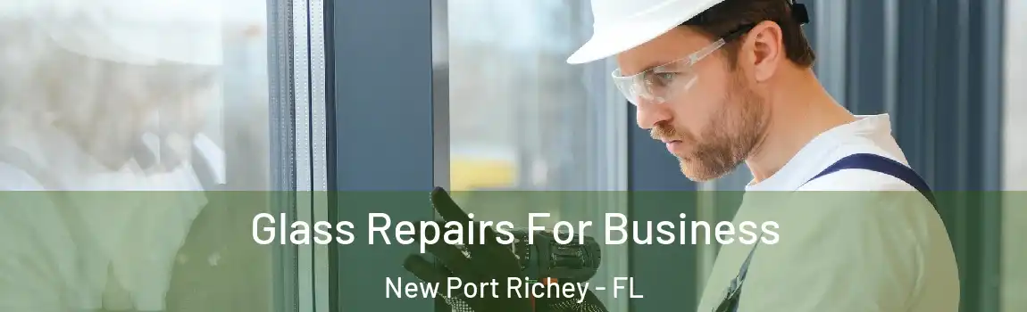  Glass Repairs For Business New Port Richey - FL