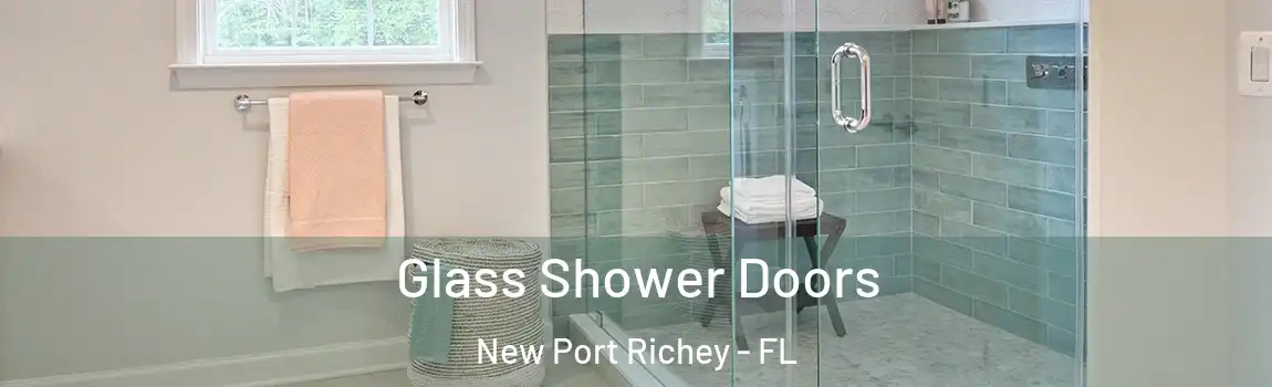 Glass Shower Doors New Port Richey - FL