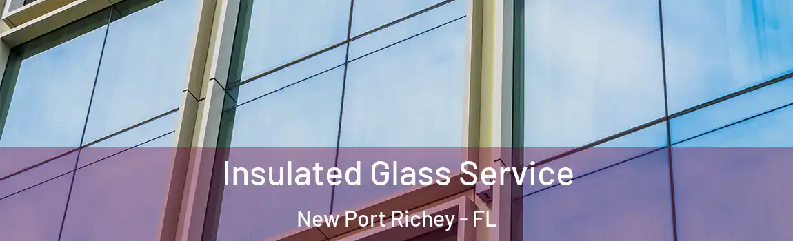  Insulated Glass Service New Port Richey - FL