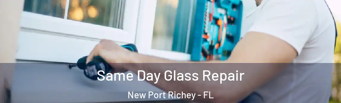  Same Day Glass Repair New Port Richey - FL