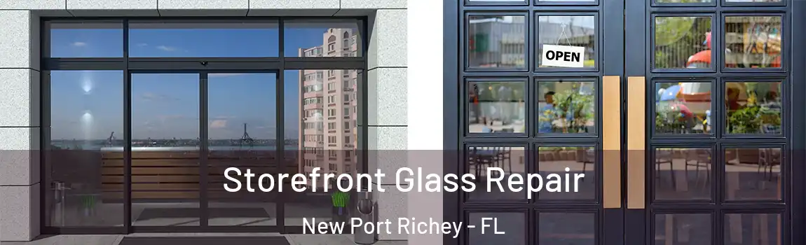  Storefront Glass Repair New Port Richey - FL
