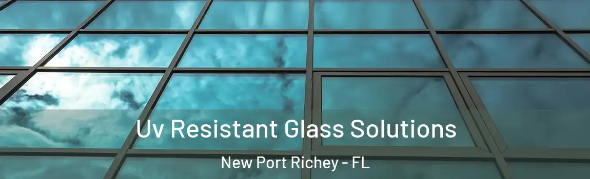  Uv Resistant Glass Solutions New Port Richey - FL