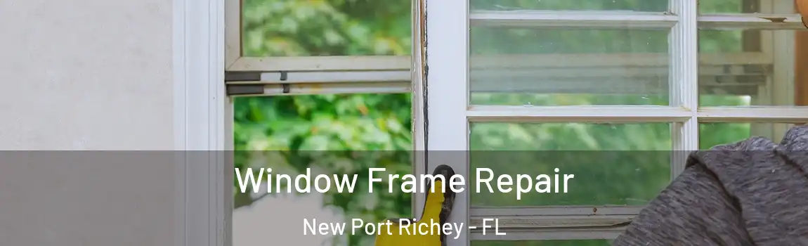 Window Frame Repair New Port Richey - FL