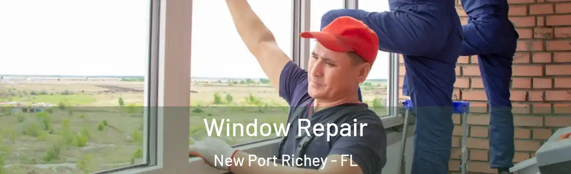  Window Repair New Port Richey - FL