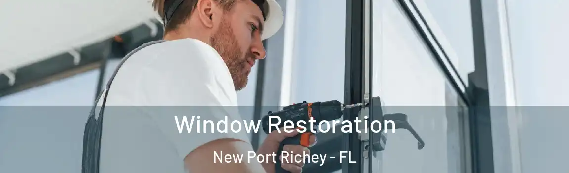  Window Restoration New Port Richey - FL